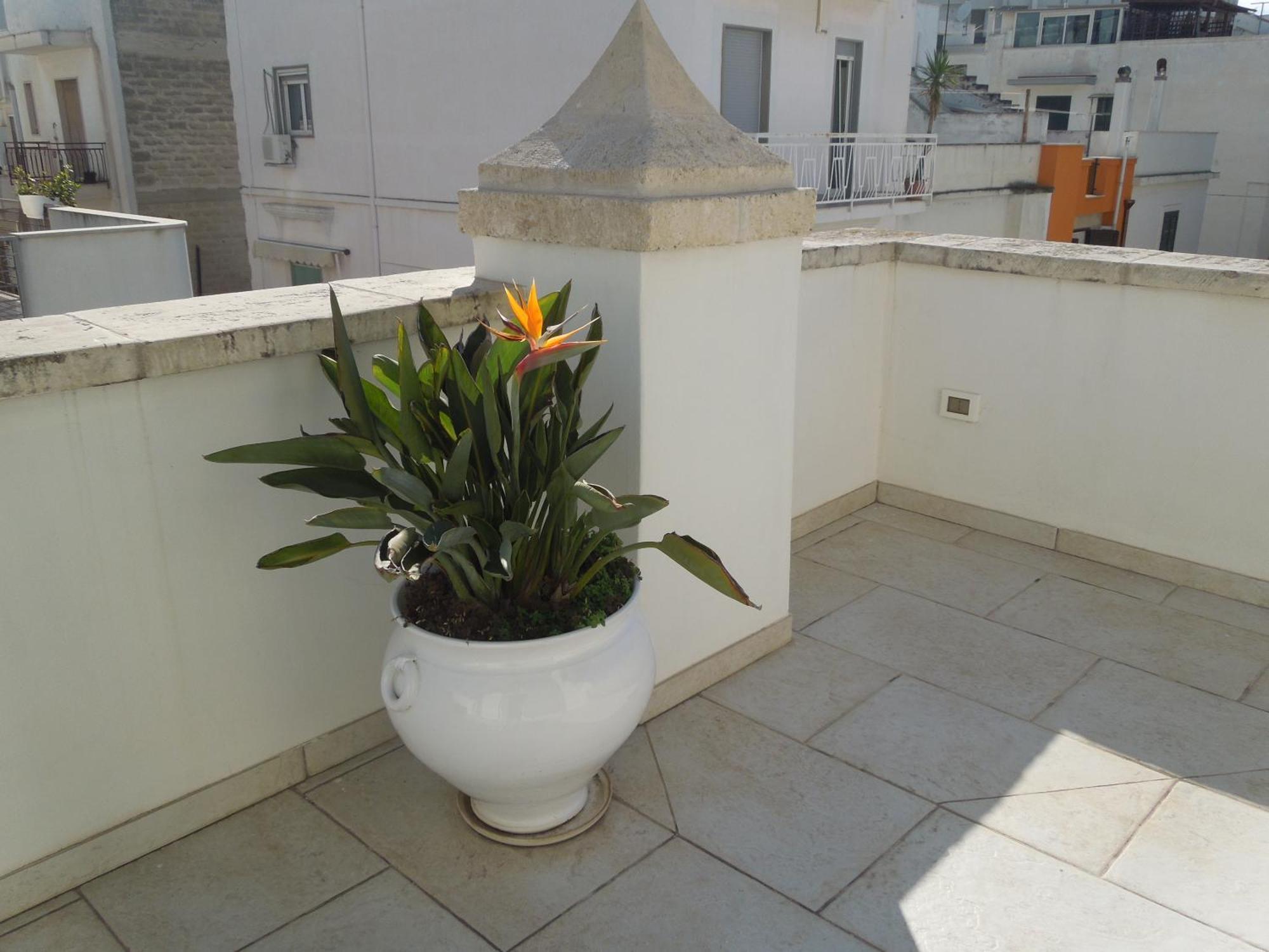 Dimora Girolamo Bed & Breakfast Polignano a Mare Bagian luar foto